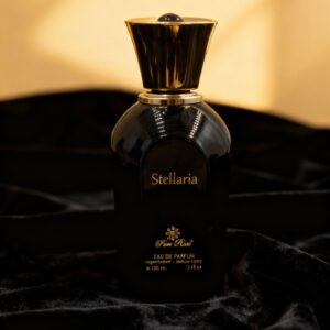 Stellaria 100 ML